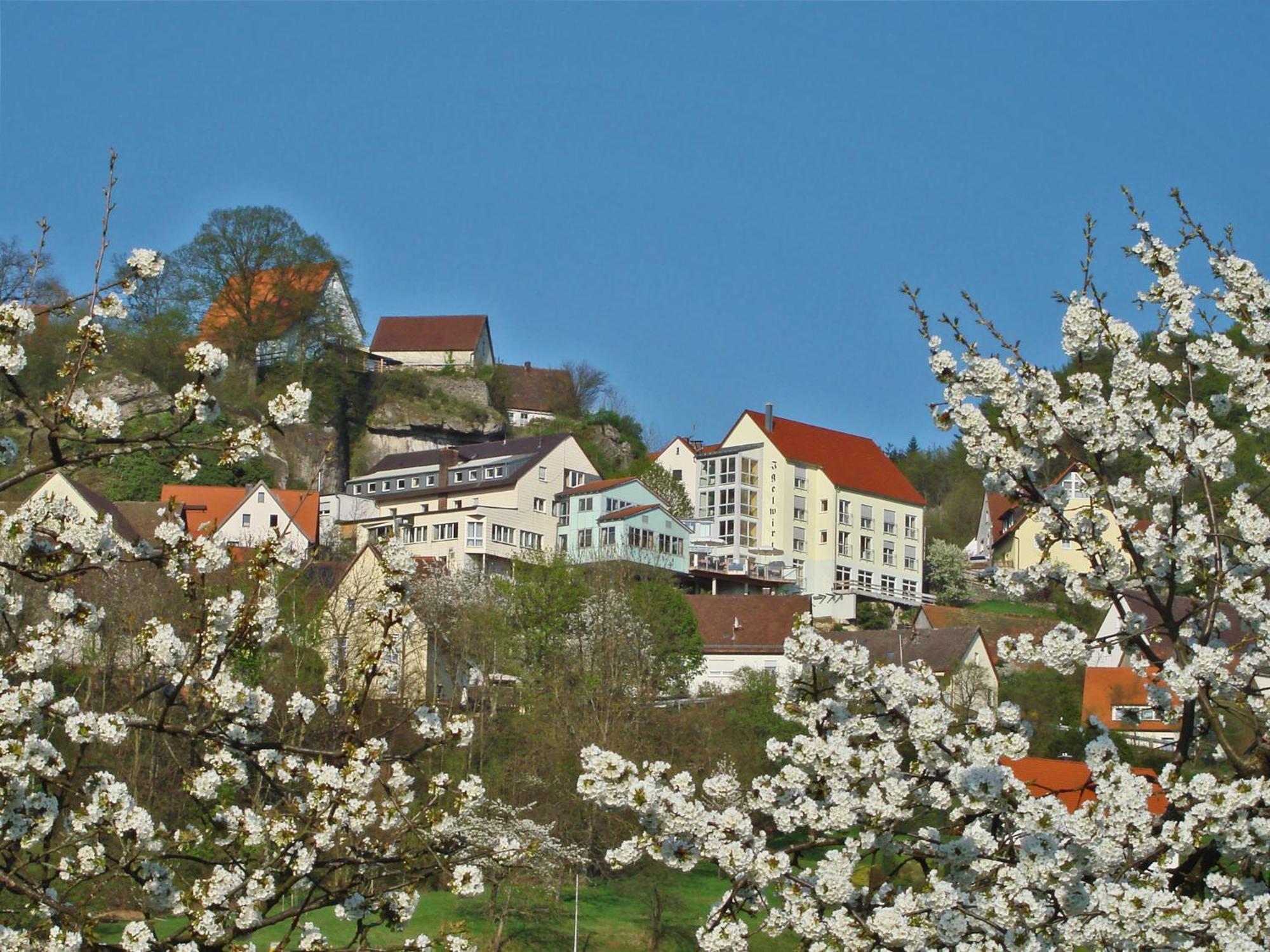 Berggasthof Hotel Igelwirt Schnaittach Exterior foto